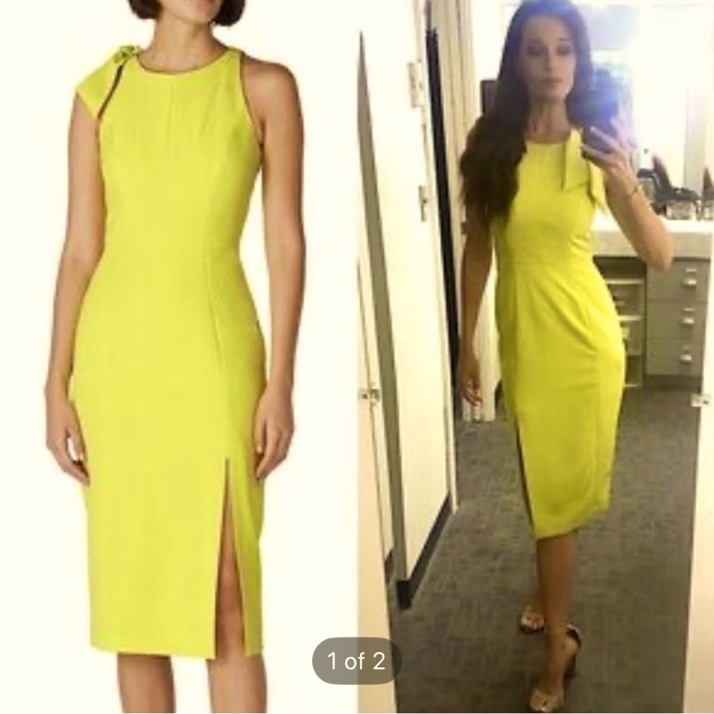Sold Out! Milly Cady Caden Dress sz.2- NWOT! $325 retail